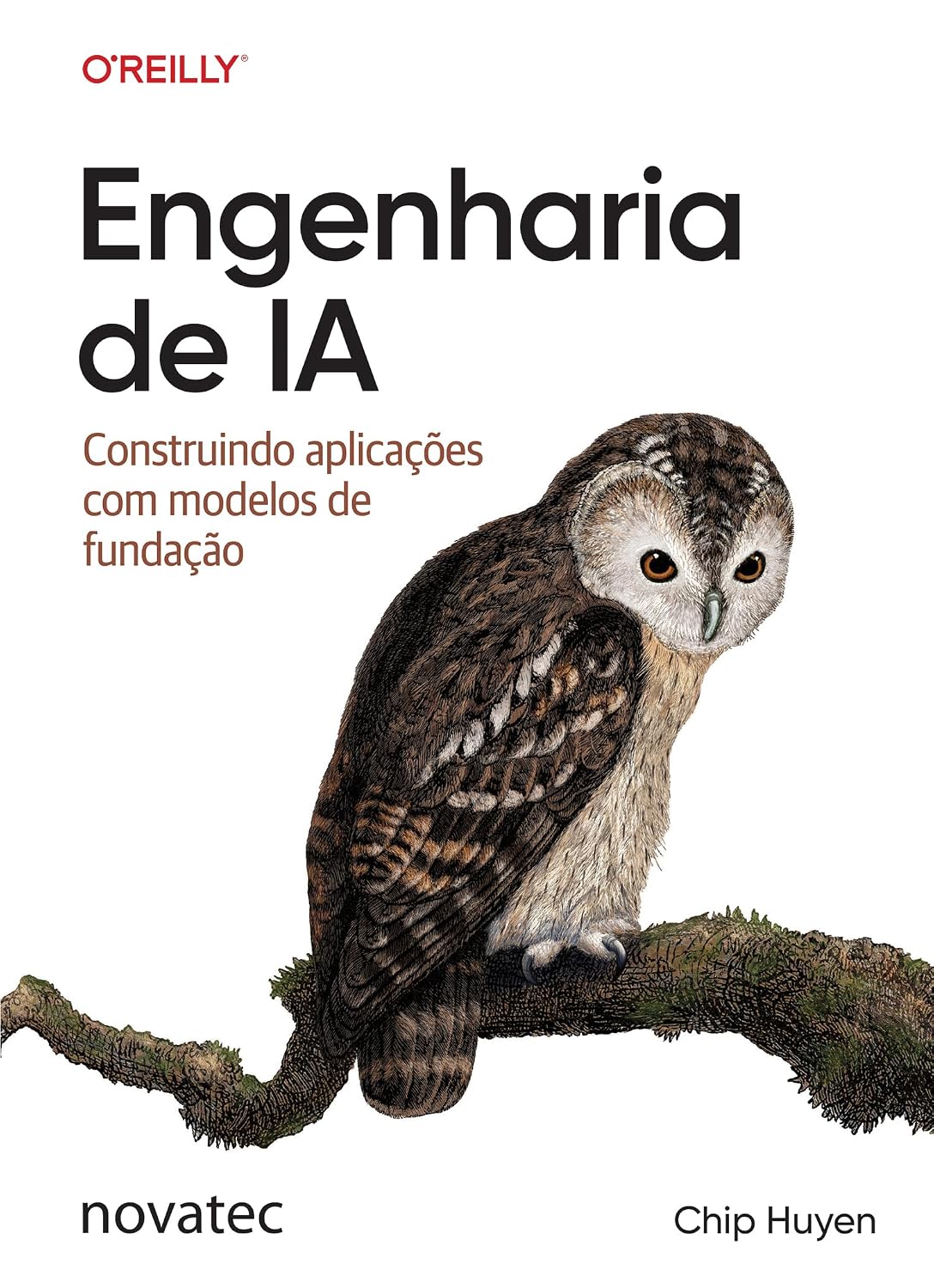 Engenharia de IA: Construindo aplicações com modelos de fundação